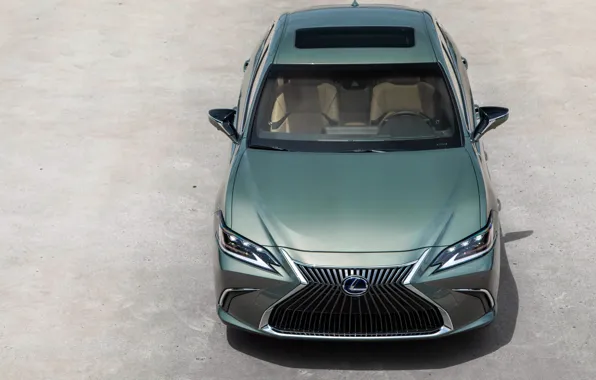 Front view, the view from the top, 300h, Lexus ES, 2019