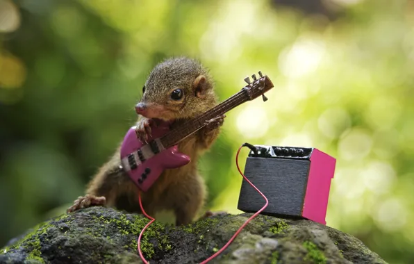 Pose, stone, guitar, wire, guitarist, musician, cub, electric guitar