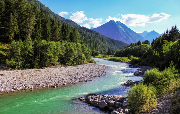 Forest, mountains, stream, River, forest, river, mountains, scenery