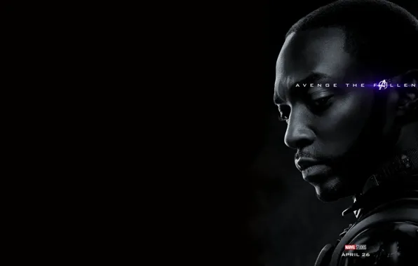 Falcon, Avengers: Endgame, Avengers Finale, Terpily Thanos, Ashes after clicking