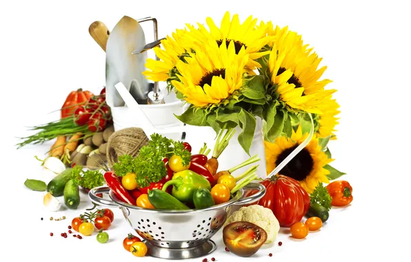 Picture greens, sunflowers, bucket, pepper, bowl, vegetables, shovel, tomatoes