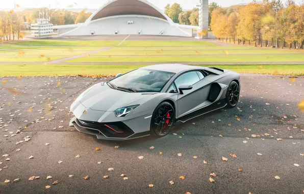 Car, Lamborghini, Aventador, Lamborghini Aventador, Aventador S, Lamborghini Aventador S