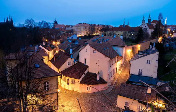 Roof, the sky, trees, lights, street, home, the evening, Prague