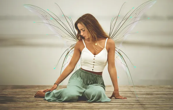Picture girl, shore, wings