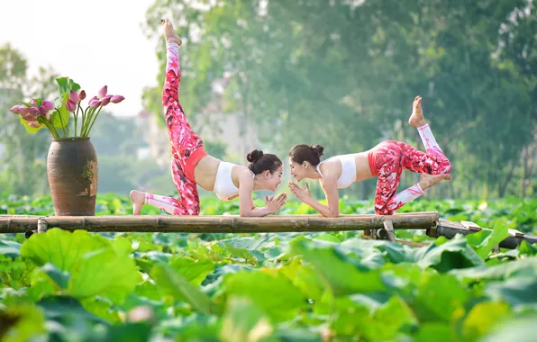 Picture summer, nature, girls, gymnastics, yoga, Asian girls