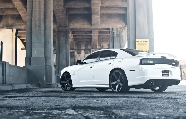 Picture white, bridge, white, Dodge, bridge, dodge, charger, srt8