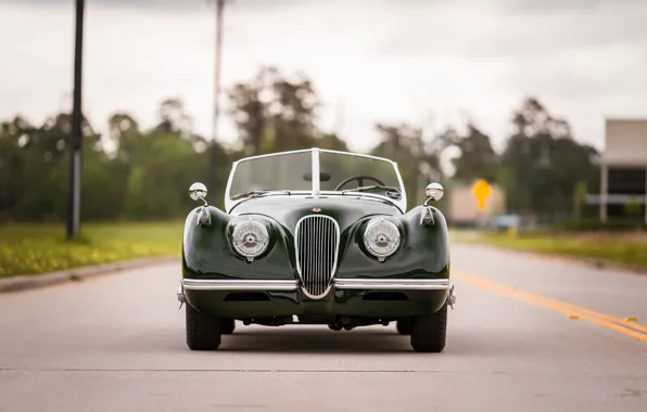 Jaguar, 1954, XK120, Jaguar XK120 SE Roadster