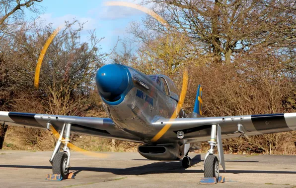 Trail, Mustang, fighter, P-51D, propeller, propeller