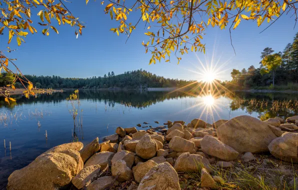 The sun, branches, lake, stones, morning, AZ, USA, Arizona