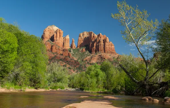 Sand, greens, water, trees, roots, stones, rocks