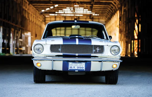 Mustang, Ford, Ford Mustang Shelby GT350, front view