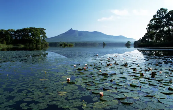 Mountains, lake, Lily, silence