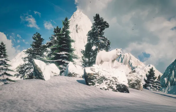 Winter, white, the sky, look, clouds, snow, trees, mountains