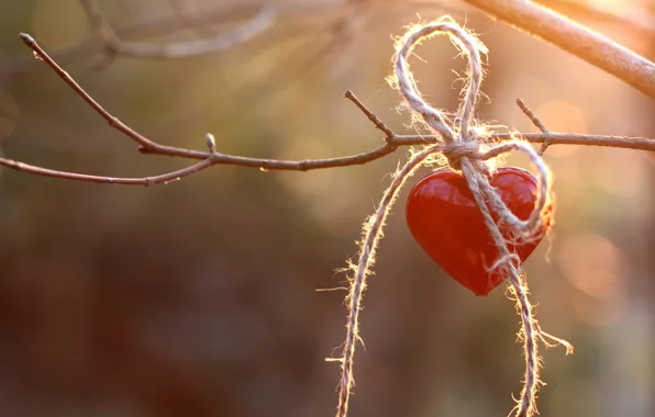 Red, heart, branch, rope
