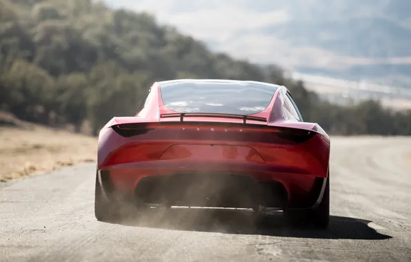 Roadster, rear view, Tesla, 2020
