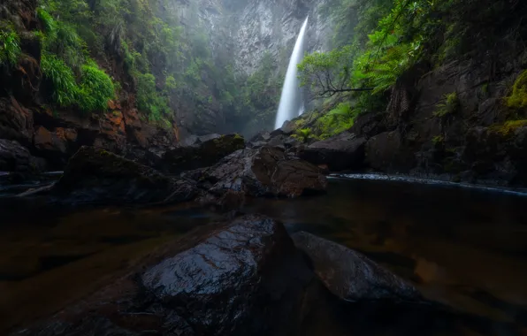 Forest, stones, waterfall