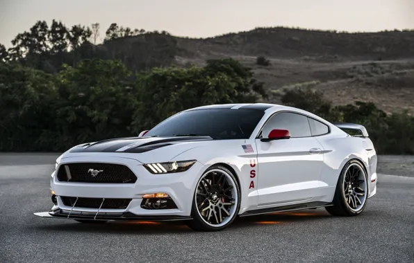 Mustang, Ford, Mustang, Ford, 2015, Apollo Edition
