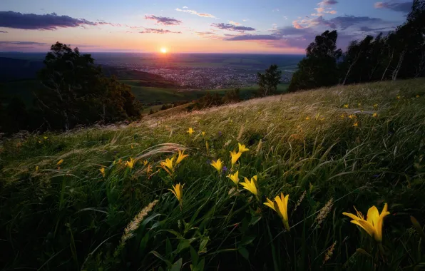 The sun, flowers, hills, Altay