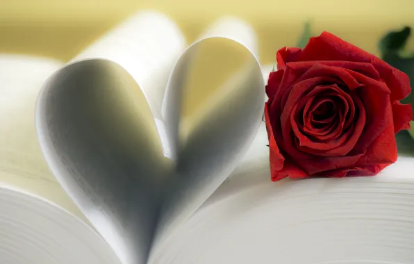 Heart, rose, book, red, love, rose, flower, page