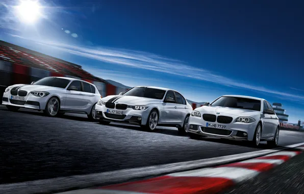 Picture race, track, BMW, white, car