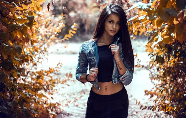 Picture autumn, look, leaves, the sun, trees, branches, model, portrait