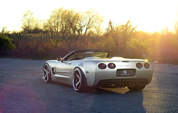 Picture Corvette, Chevrolet, Glow, Sun, Style, Tuning, Road, Convertible