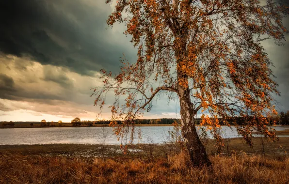 Autumn, the sky, clouds, tree, birch, pond