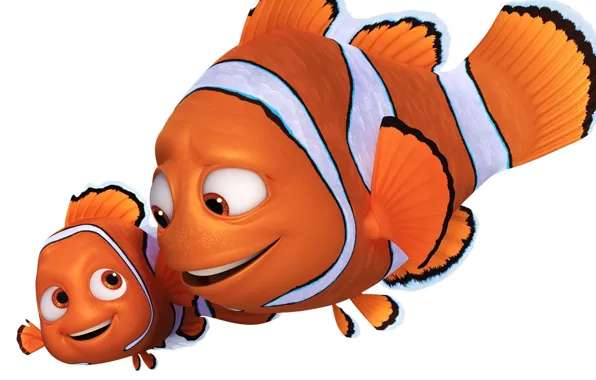 Picture animal, movies, ..finding dory, animated movies, orange color