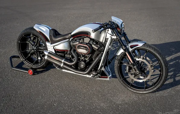 Picture Tuning, Harley-Davidson, customized, Thunderbike, custombikes, breakout, softail, gp-monza