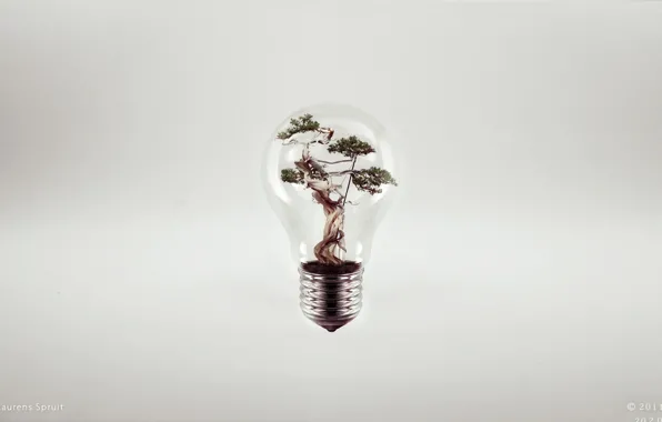 Creative, tree, lamp