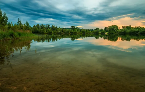 Picture water, trees, river, stream