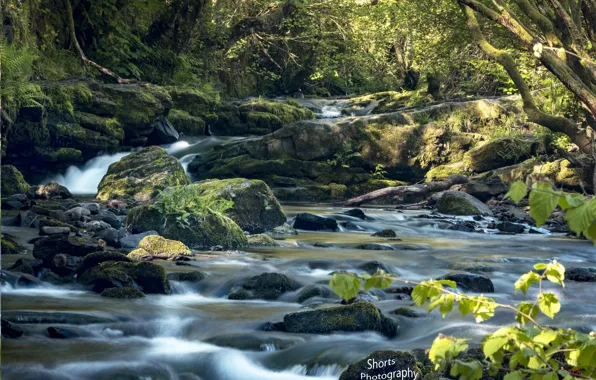 UK, Wales, Rhondda Cynon Taff