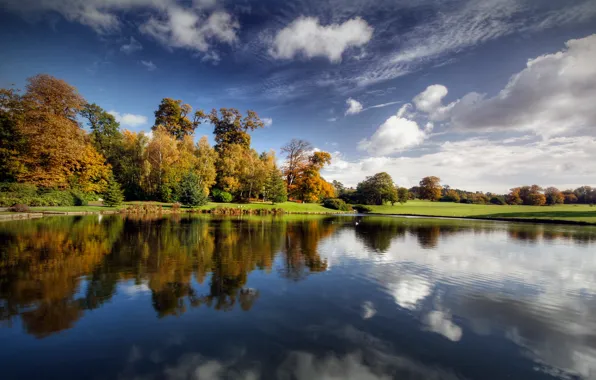 Clouds, trees, pond