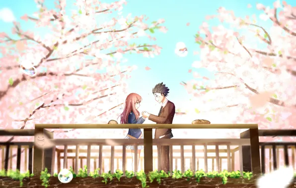 Trees, Park, romance, spring, Sakura, pair, flowering, You no Katachi