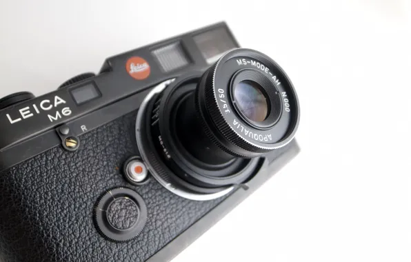 Macro, background, camera, Leica M6, MS optical Apoqualia 50mm f3.5
