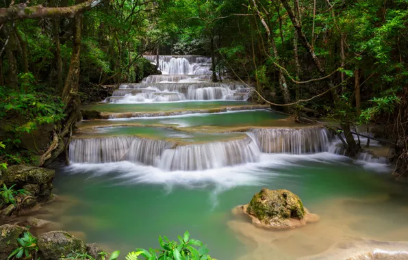Forest, trees, river, thickets, stone, waterfall, stream, cascade