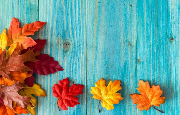 Picture autumn, leaves, Board