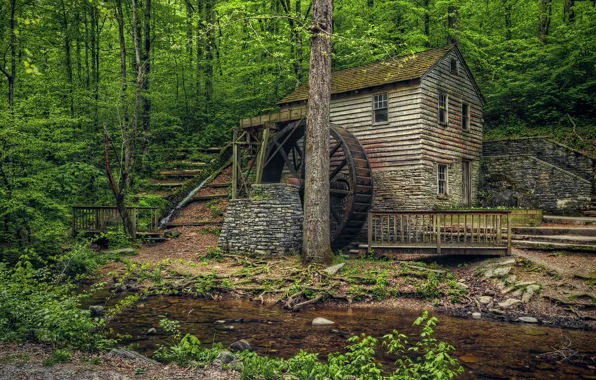 USA, old mill, Tennessee, Norris Dam State Park