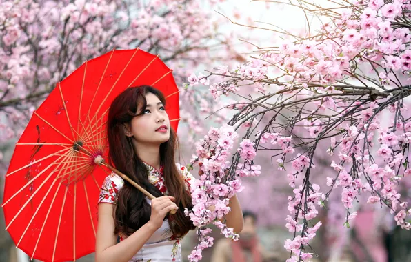 Picture girl, background, Asian