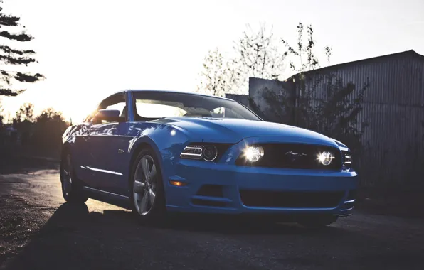Mustang, Ford, Ford, Muscle, Mustang, Car, Blue, 5.0