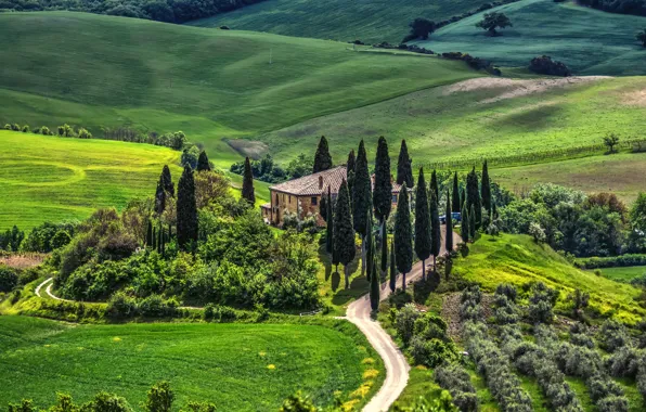 Road, trees, landscape, nature, house, Italy, meadows, Tuscany