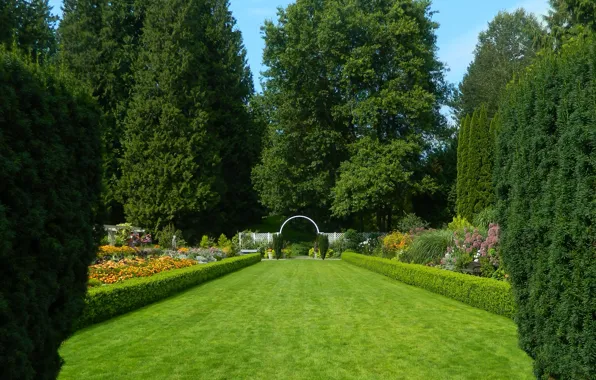 Greens, trees, Park, lawn, green, Summer, summer, trees