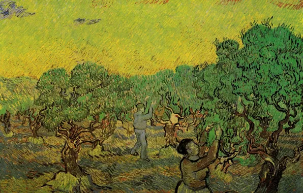 Picture Vincent van Gogh, Olive Grove with, collectors of berries, Picking Figures