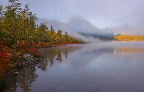 Picture autumn, forest, landscape, mountains, nature, fog, shore, Vladimir Ryabkov