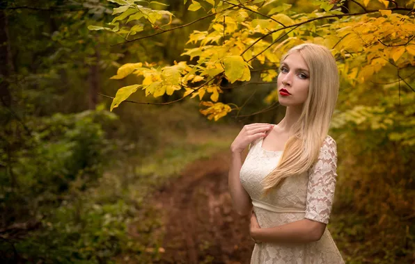 Picture Girl, Beautiful, Model, Autumn, Dress, Leaves, Attractive, Boryana