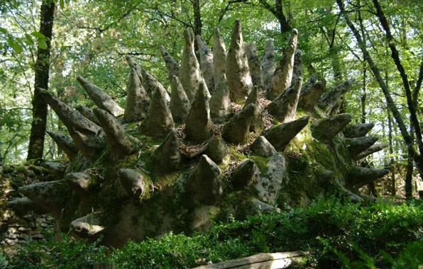 Trees, moss, green foliage
