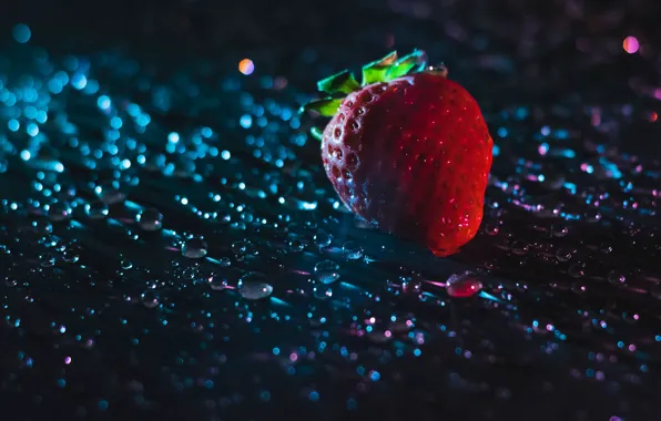 Water, drops, light, glare, the dark background, moisture, strawberry, berry