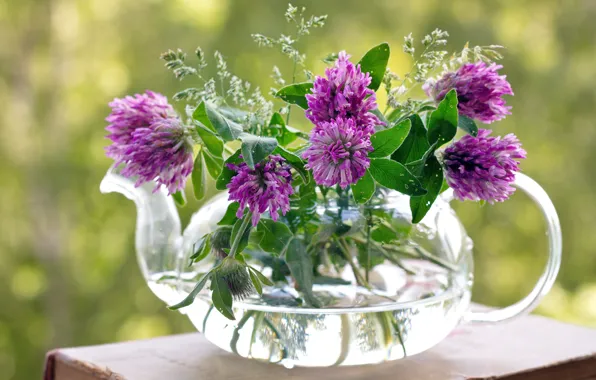 Picture flowers, kettle, clover
