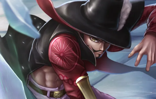 Hat, pirate, guy, One Piece