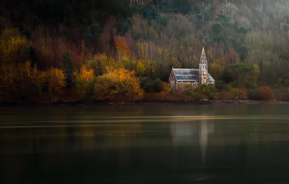 Autumn, trees, river, Church, forest